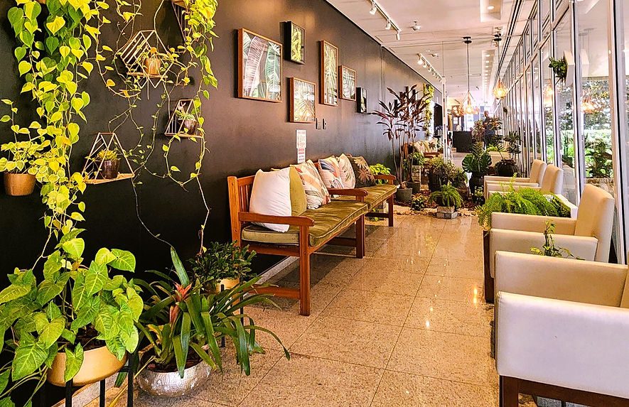 Recepção da clínica, com poltronas, plantas e luz natural