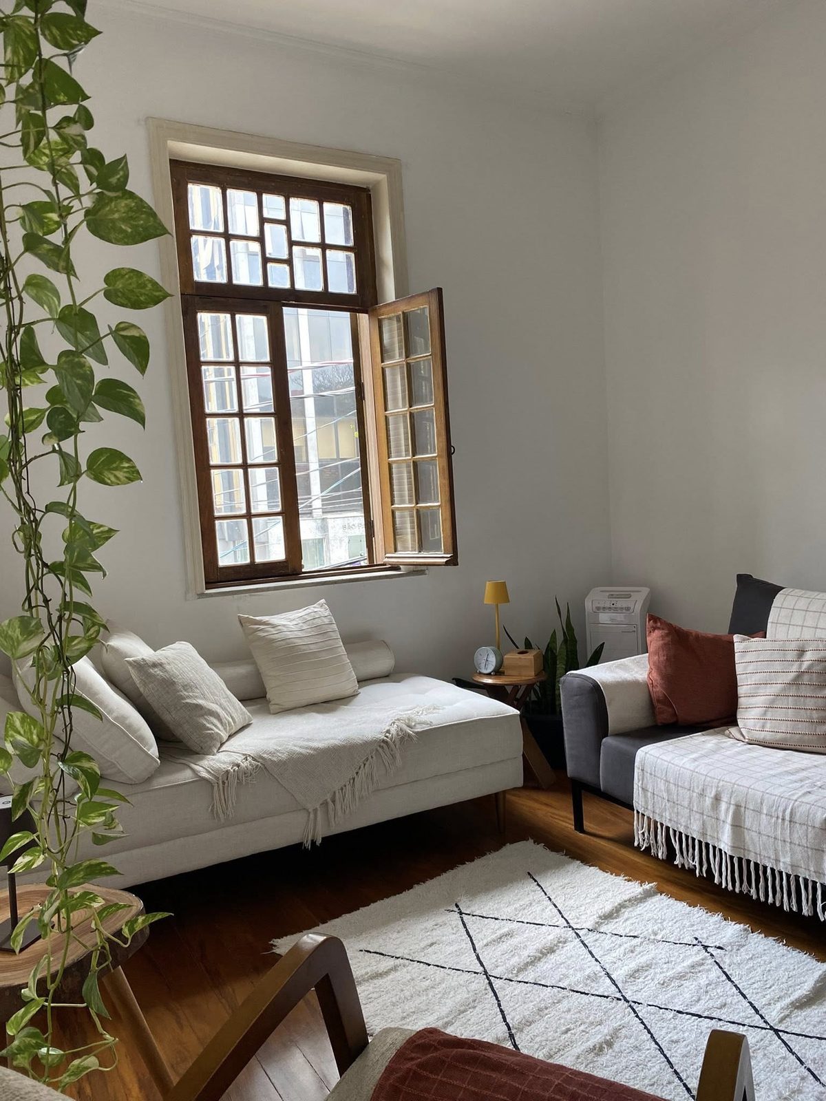 Sala de atendimento com sofás, tapete e plantas